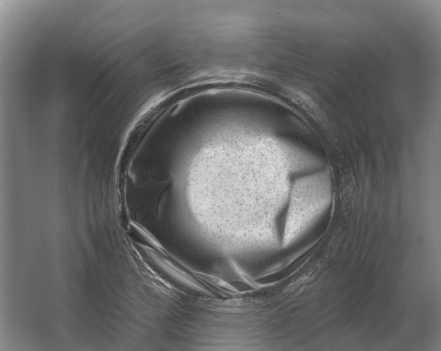 X0000062631172200601041023