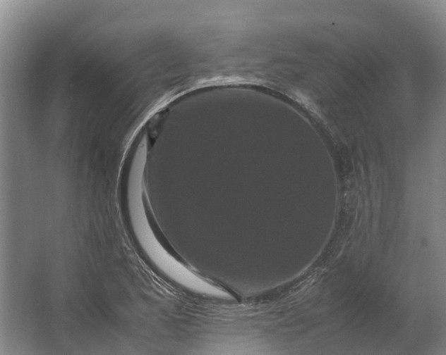 X0000062631173200601041023