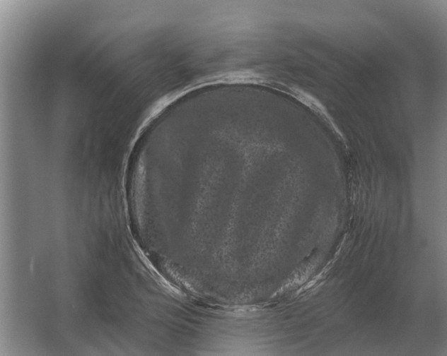 X0000062631176200601041023