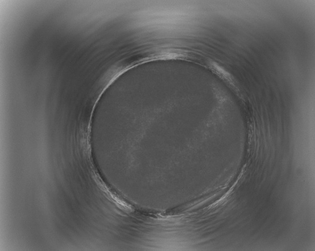 X0000062631178200601041023