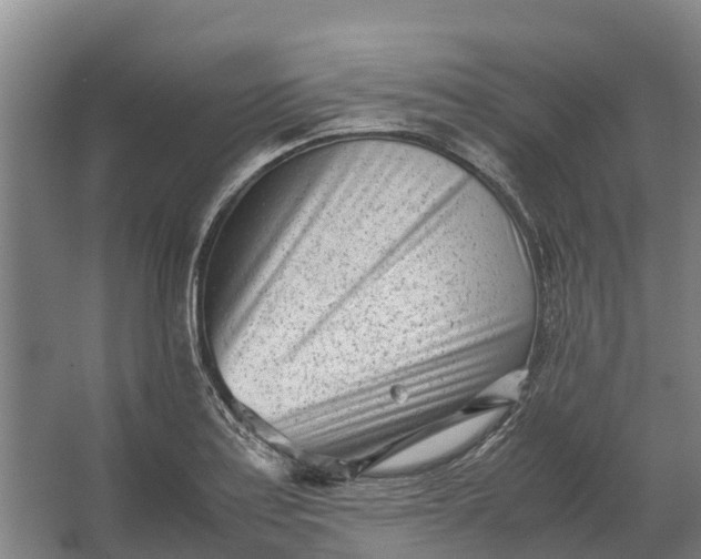 X0000062631179200601041023