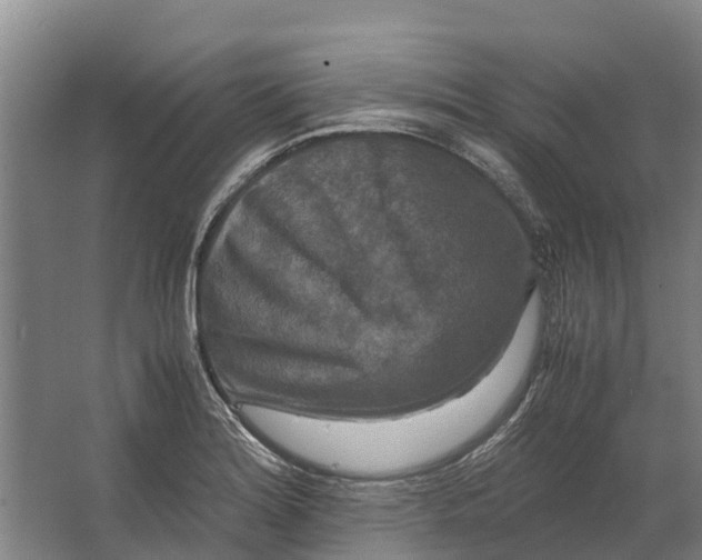 X0000062631180200601041023