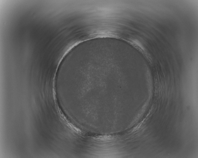 X0000062631182200601041023