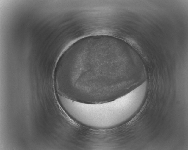 X0000062631184200601041023