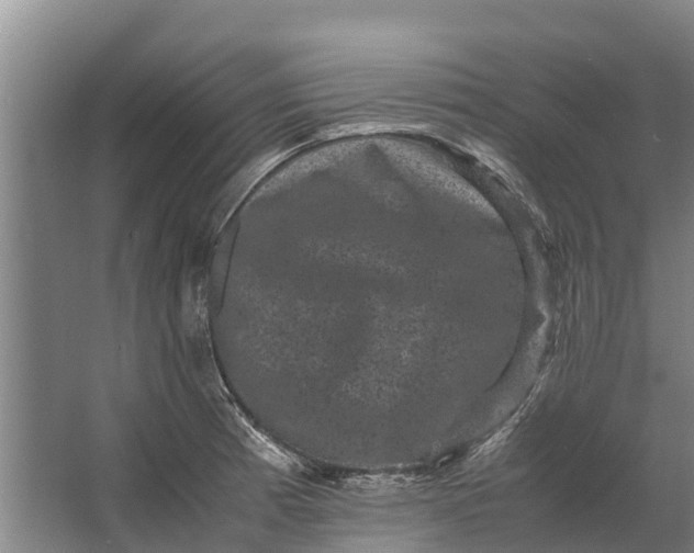 X0000062631185200601041023