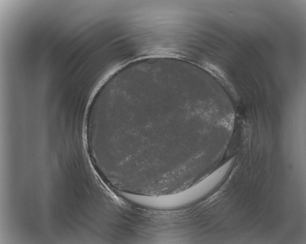 X0000062631188200601041023