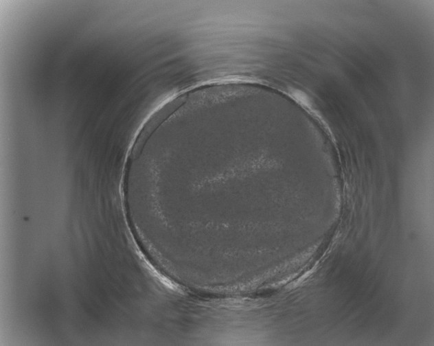 X0000062631189200601041023