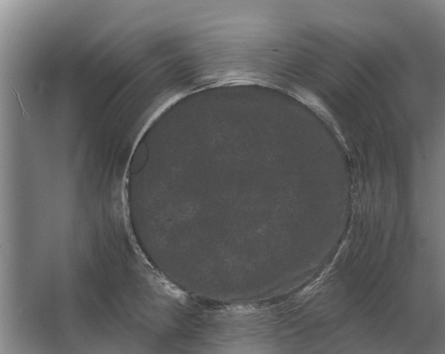 X0000062631190200601041023