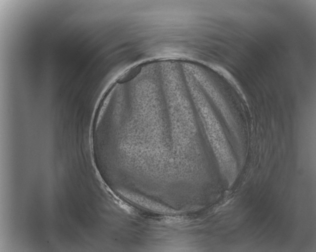 X0000062631191200601041023