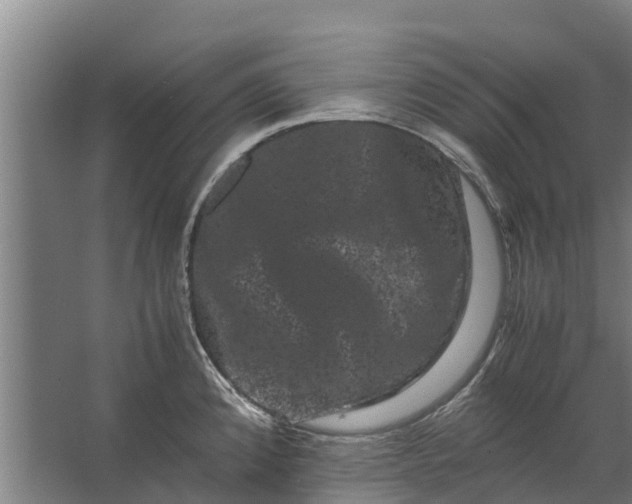 X0000062631192200601041023