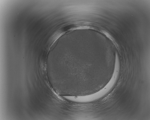 X0000062631193200601041023