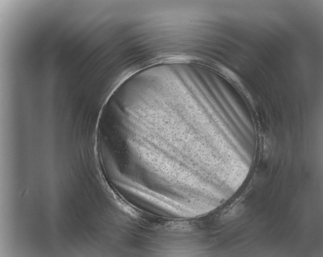 X0000062631194200601041023