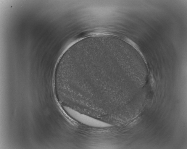 X0000062631195200601041023