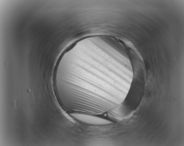 X0000062631197200601041023