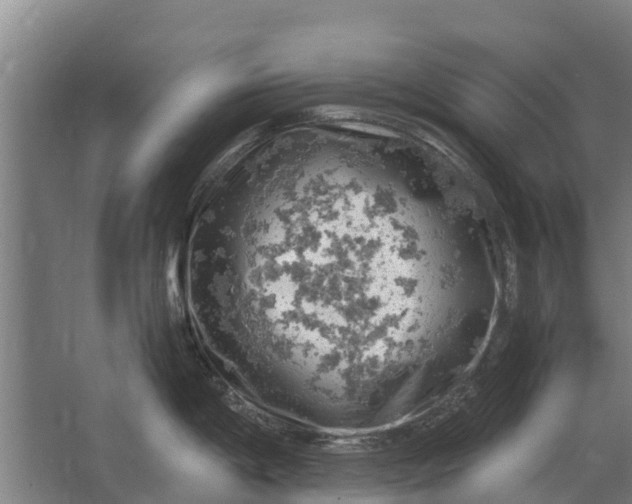 X0000062631198200601041023