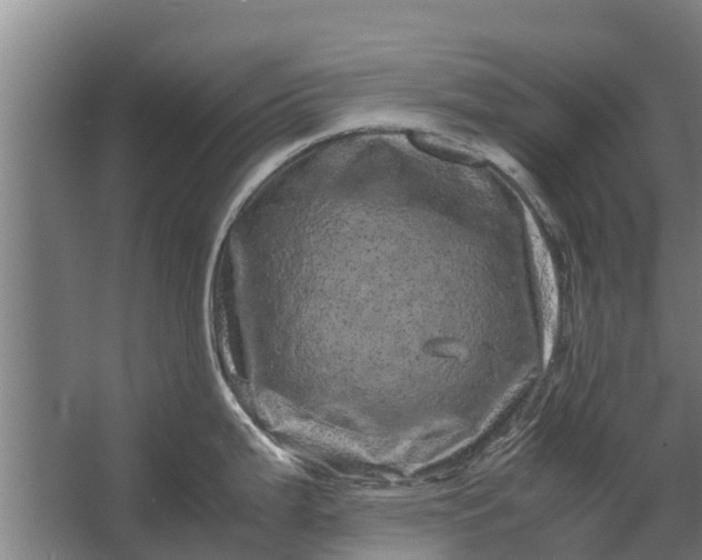 X0000062631199200601041023