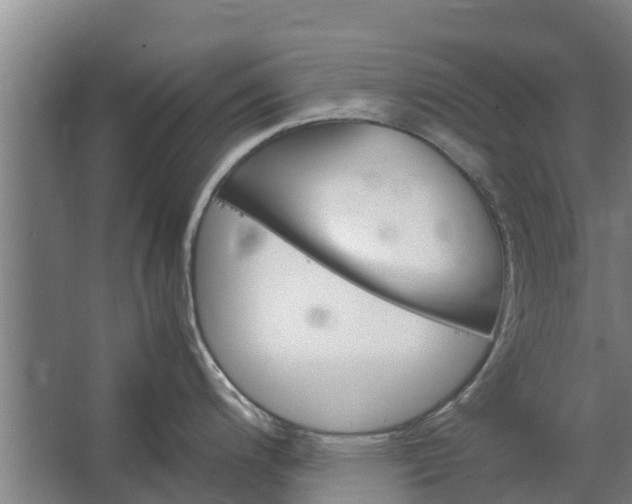 X0000062631200200601041023