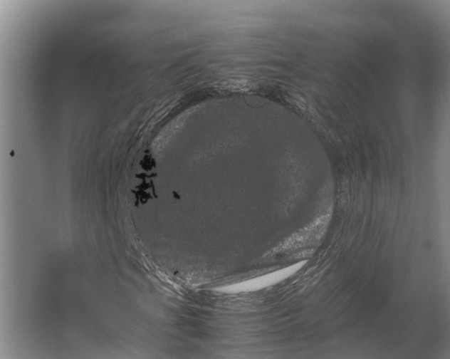 X0000062631201200601041022