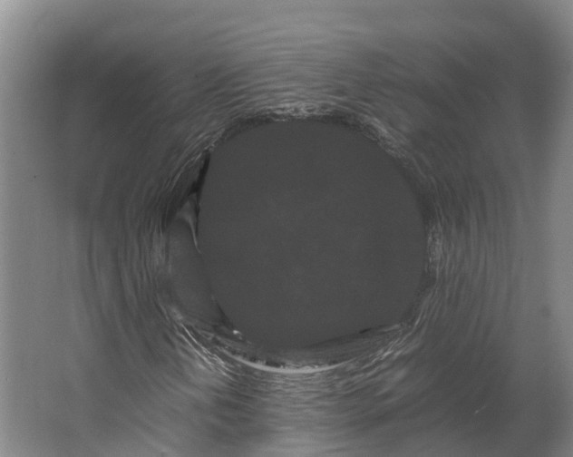 X0000062631202200601041022