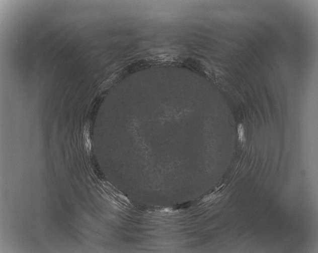 X0000062631203200601041022