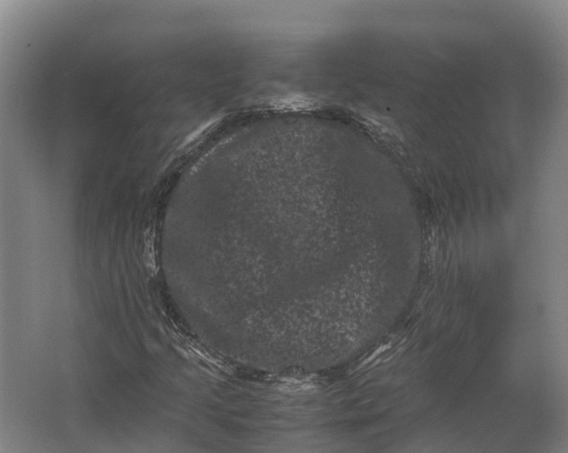 X0000062631205200601041022