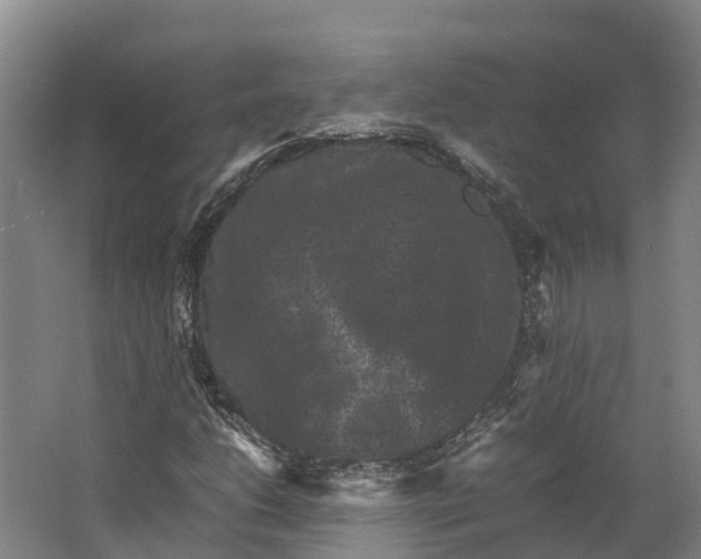 X0000062631206200601041022