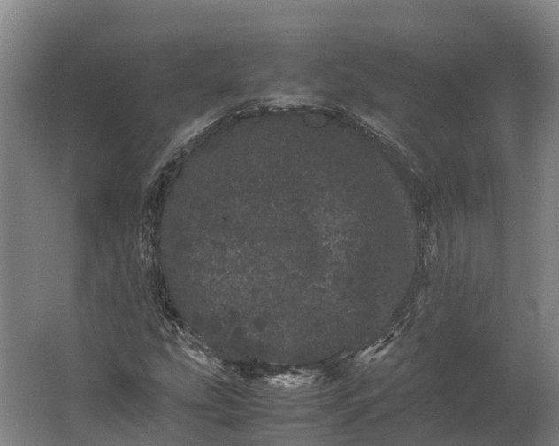 X0000062631207200601041022