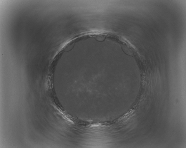 X0000062631208200601041022