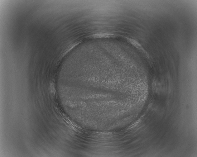 X0000062631209200601041022