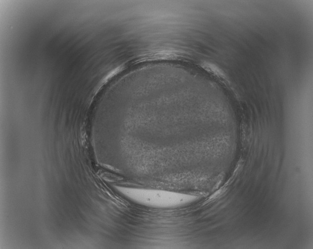 X0000062631210200601041022