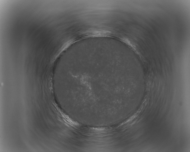 X0000062631211200601041022