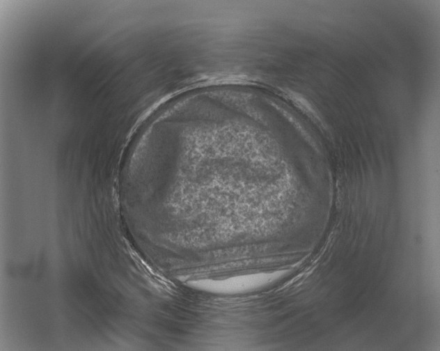 X0000062631212200601041022