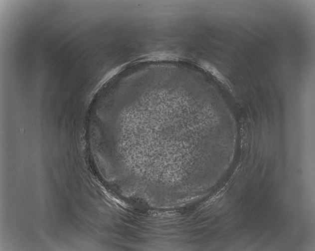 X0000062631213200601041022