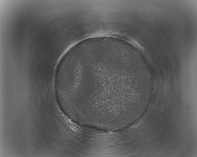 X0000062631216200601041022