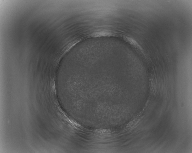 X0000062631217200601041022