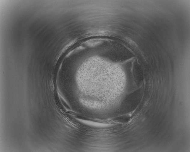 X0000062631218200601041022