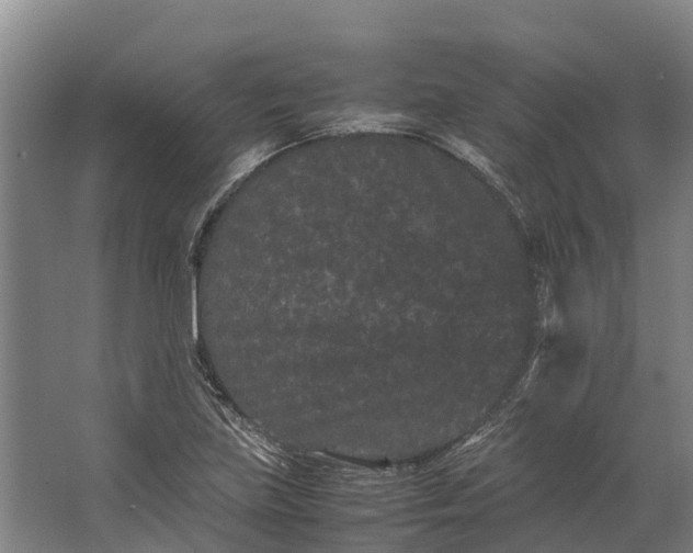 X0000062631219200601041022