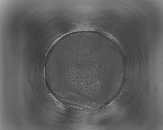 X0000062631220200601041022