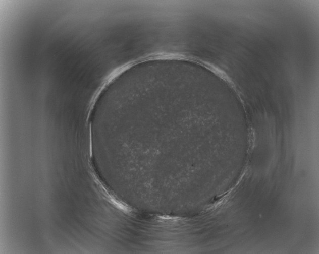 X0000062631223200601041022