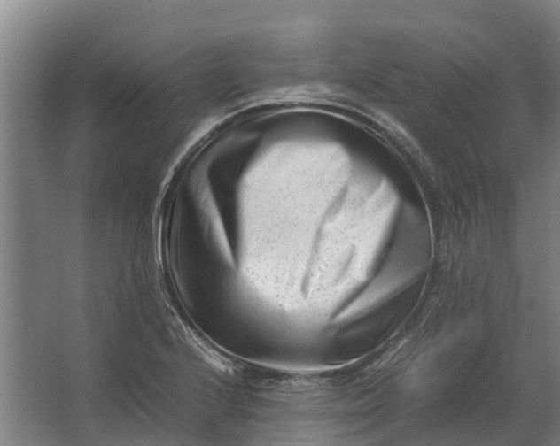 X0000062631224200601041022