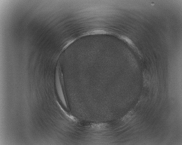 X0000062631225200601041022