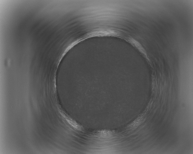 X0000062631226200601041022