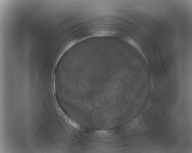 X0000062631227200601041022