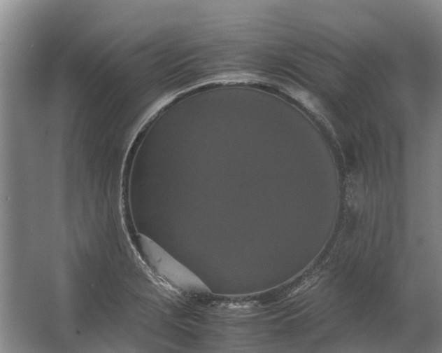 X0000062631229200601041023