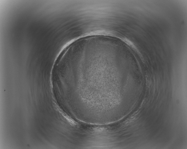 X0000062631230200601041023