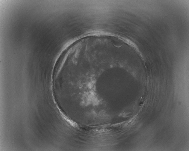 X0000062631231200601041023