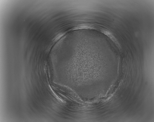 X0000062631233200601041023