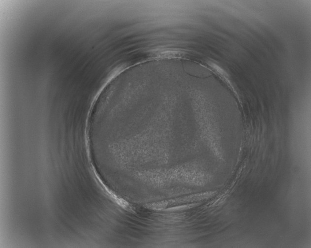 X0000062631235200601041023