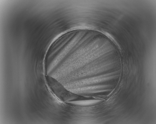 X0000062631238200601041023