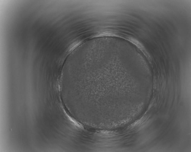 X0000062631241200601041023